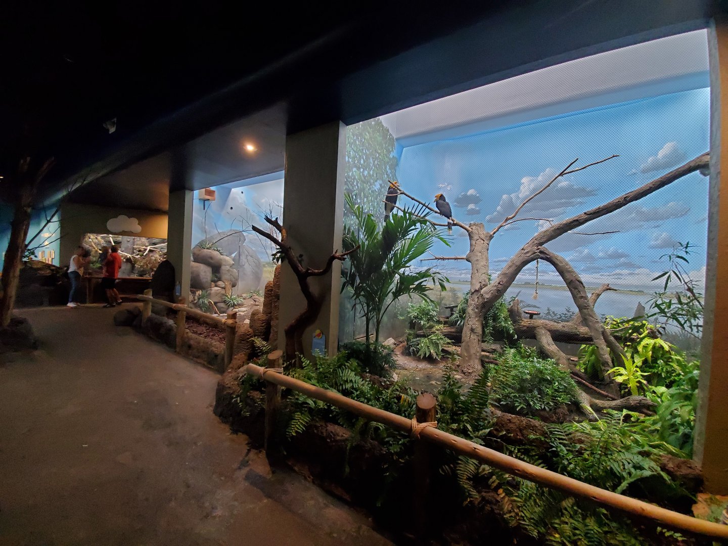 Aug. 2019 - Wings of the World - Mexico + Grasslands + Rhinoceros Hornbill Exhibits