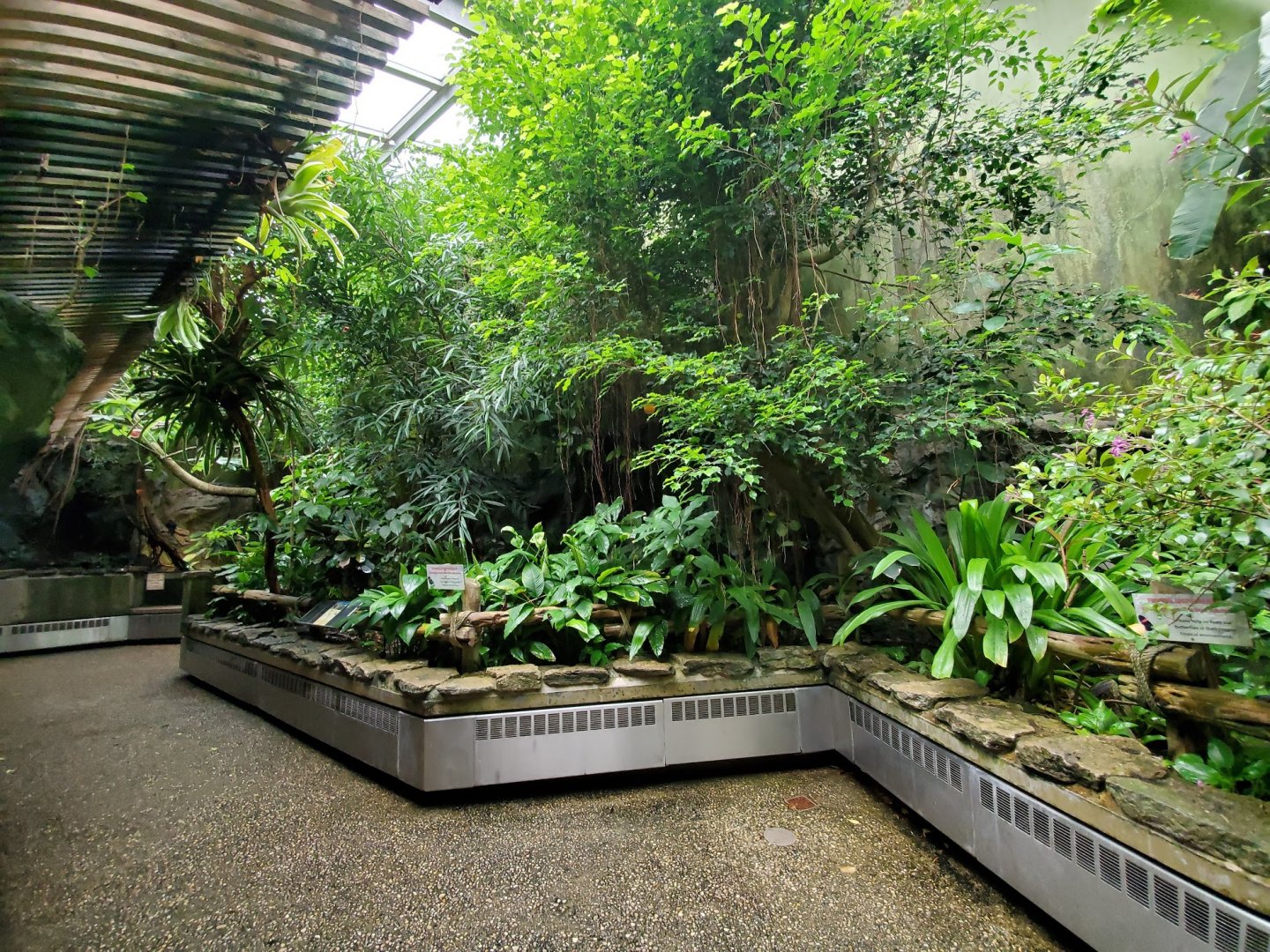 Aug. 2019 - World of the Insect - Butterfly Aviary (4 Species)