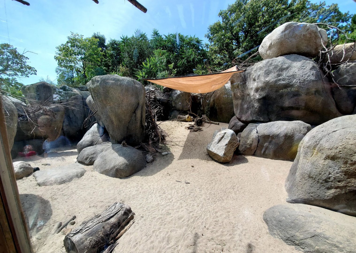 Aug. 2020 - African Grasslands - Klipspringer/Meerkat/Leopard Tortoise Exhibit