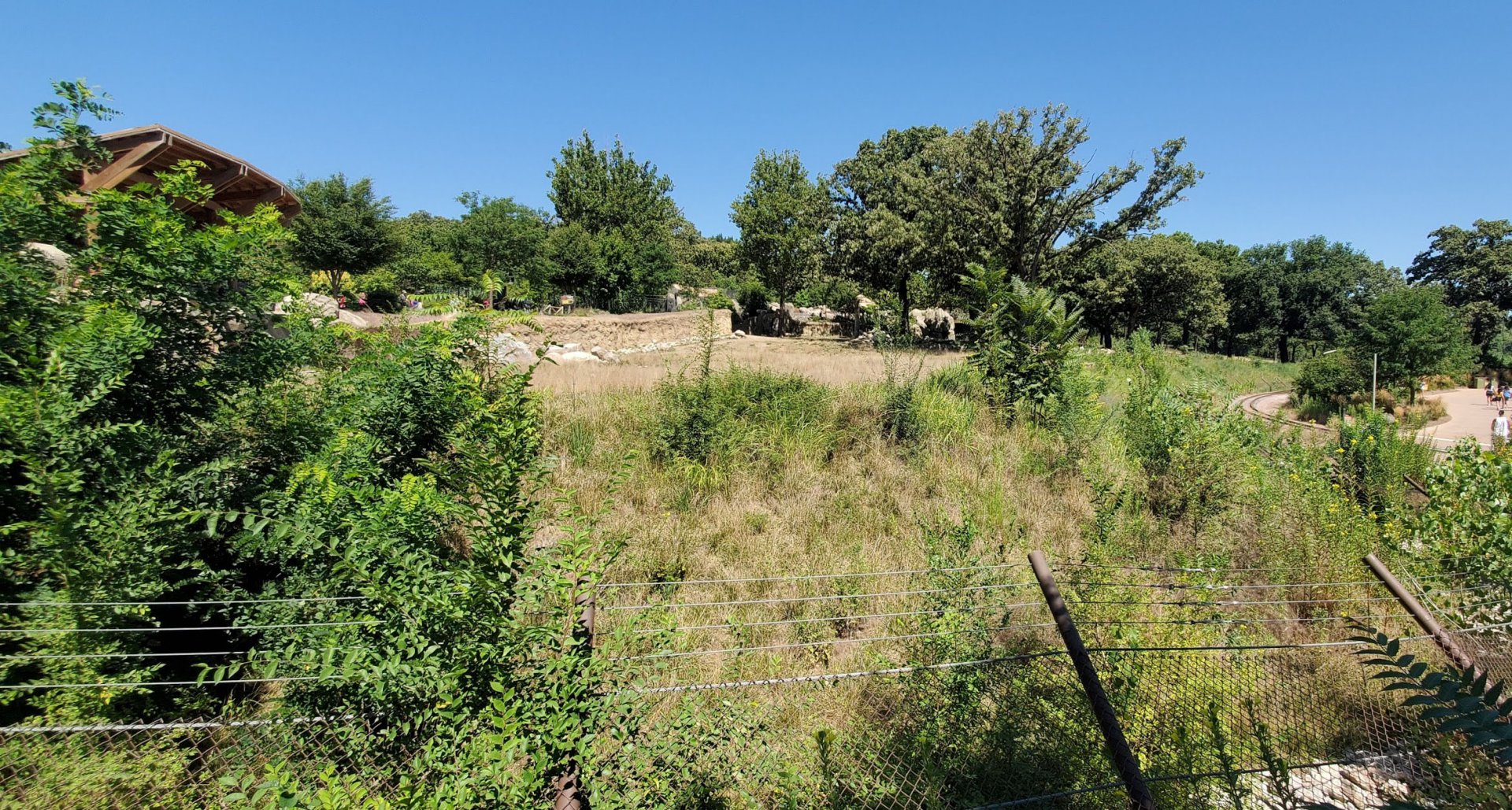 Aug. 2020 - African Grasslands - Main Savannah + White Rhino Exhibit (2.7 Acres)