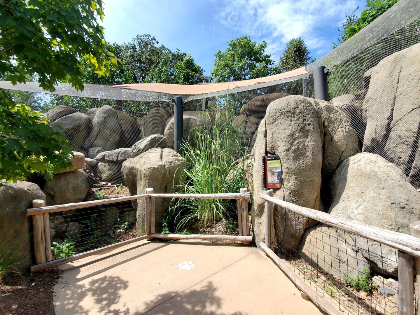 Aug. 2020 - African Grasslands - Rock Hyrax/Superb Starling/Golden-breasted Starling/Kenyan Crested Guineafowl Exhibit