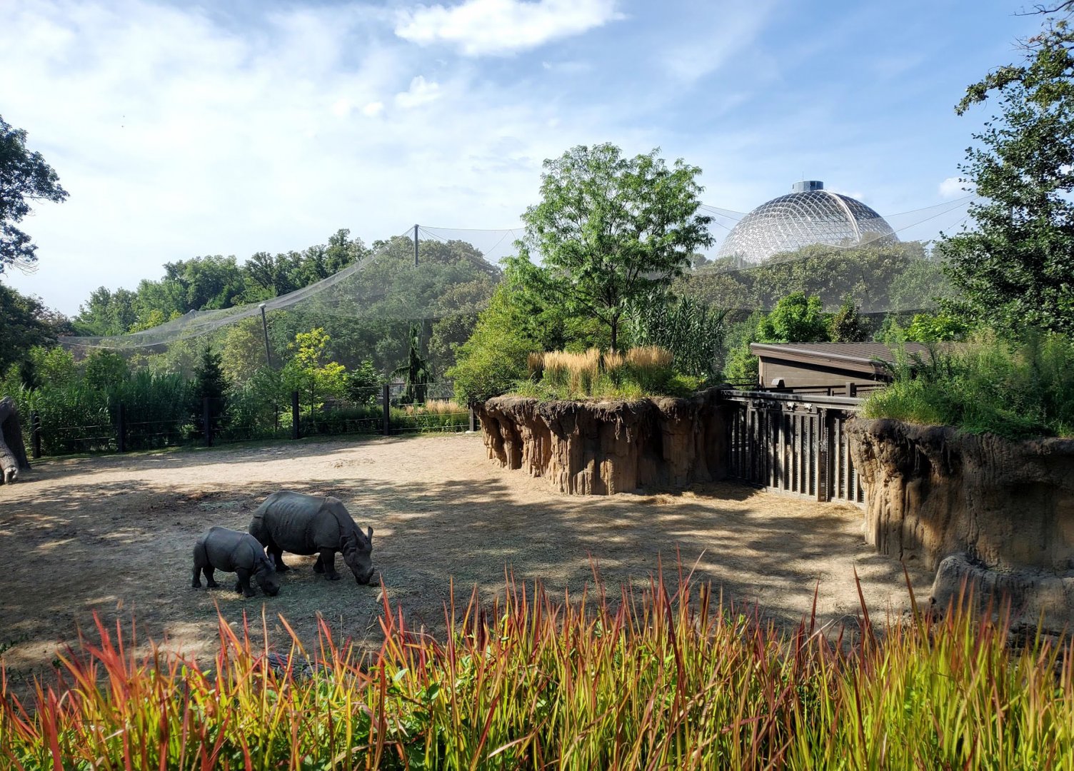 Aug. 2020 - Asian Highlands - Indian Rhino/Pere David's Deer Exhibit + Desert Dome