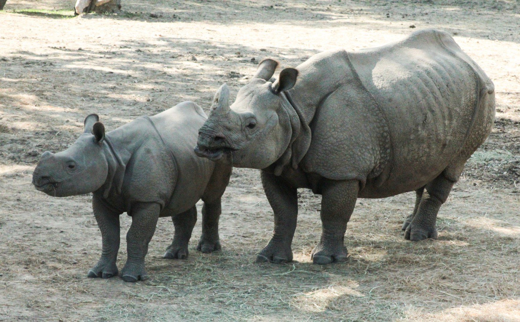 Aug. 2020 - Asian Highlands - Marshall & Hellary