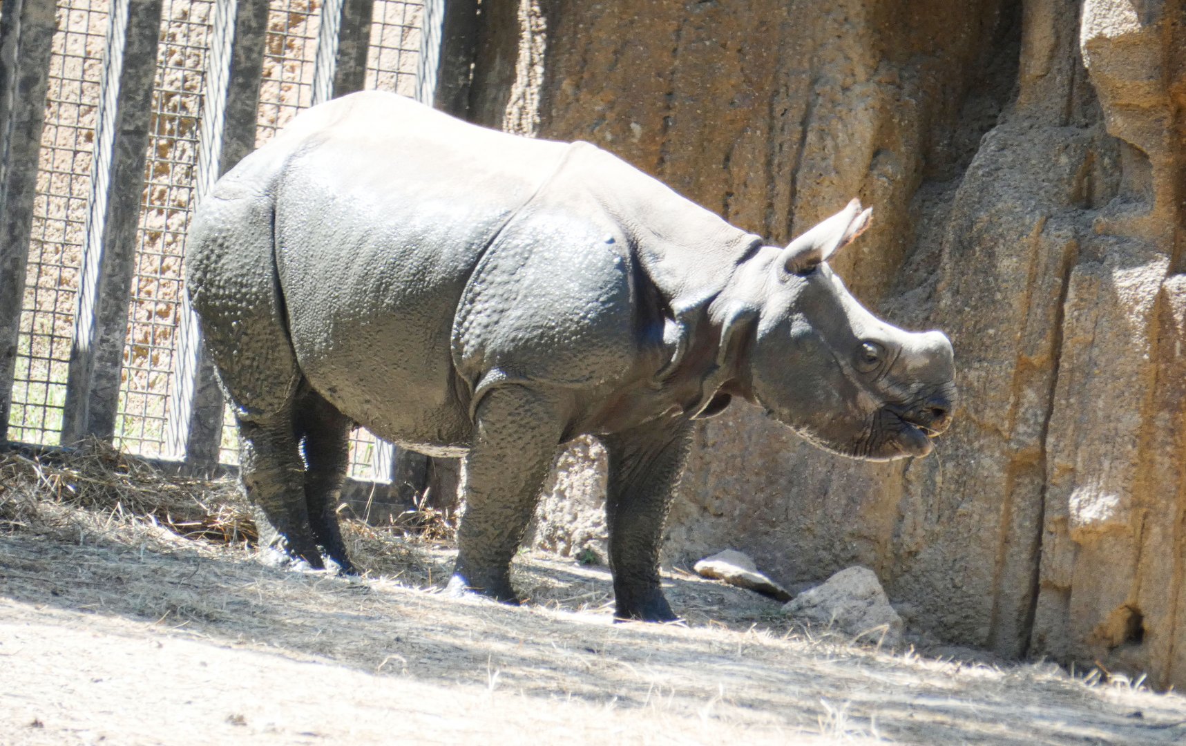 Aug. 2020 - Asian Highlands - Marshall