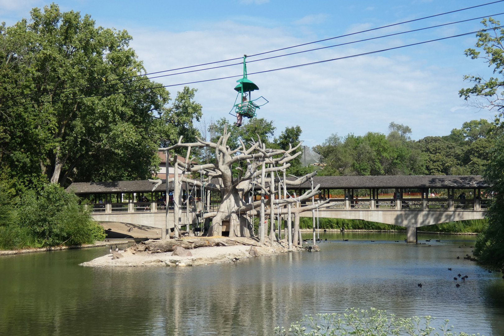 Aug. 2020 - Black-handed Spider Monkey Island