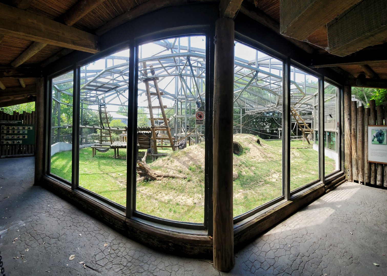 Aug. 2020 - Congo Expedition - Gorilla Exhibit