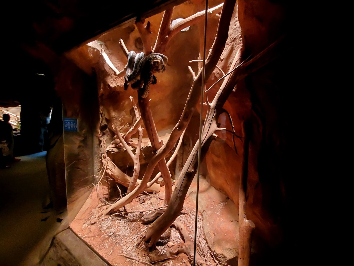 Aug. 2020 - Desert Dome - Australia's Red Center - Centralia Python Exhibit