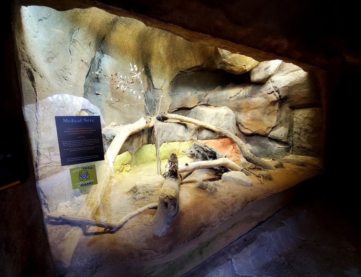 Aug. 2020 - Desert Dome - Australia's Red Center - Perentie Exhibit