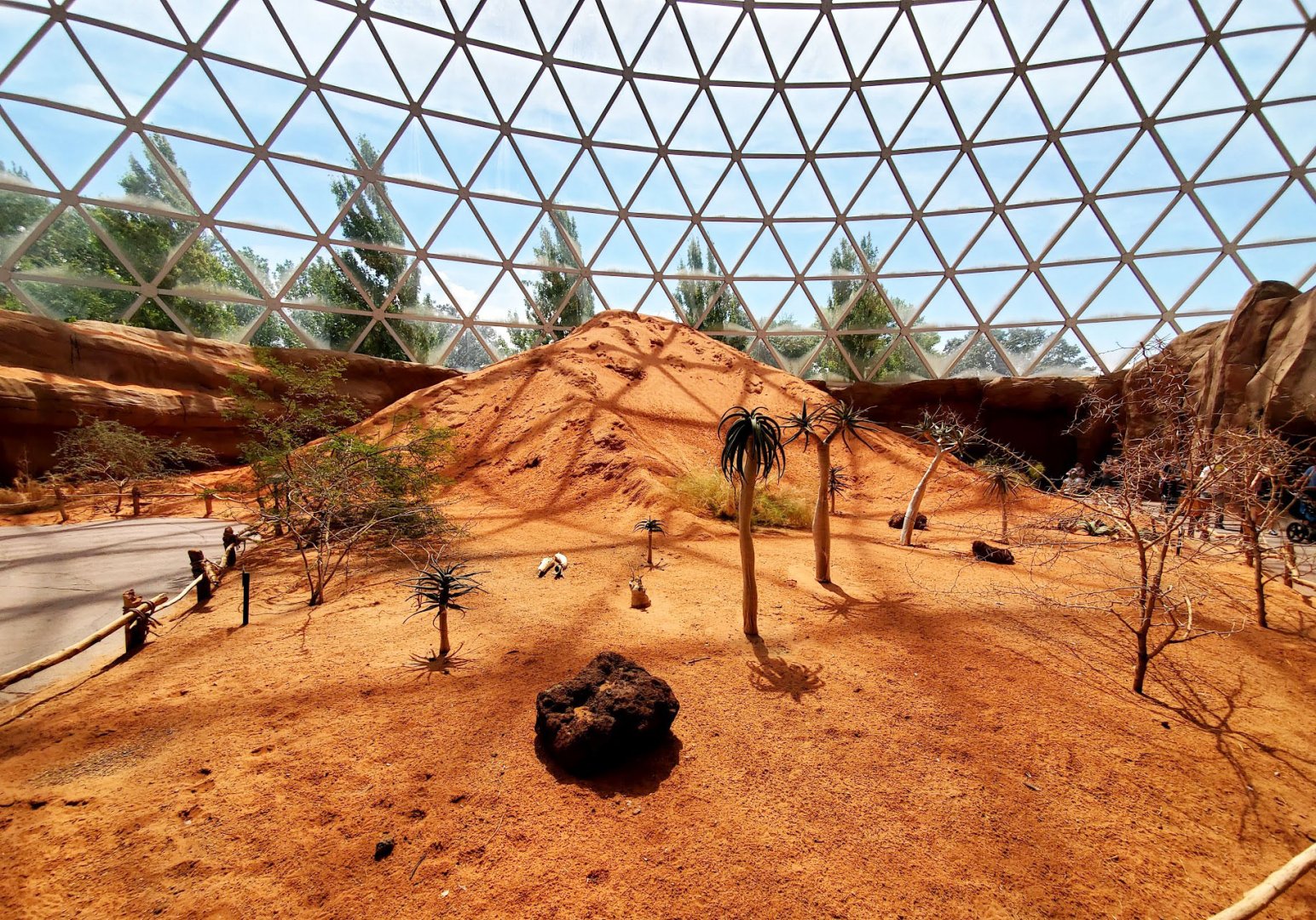 Aug. 2020 - Desert Dome - Namib Desert (11 Free Flying Species)