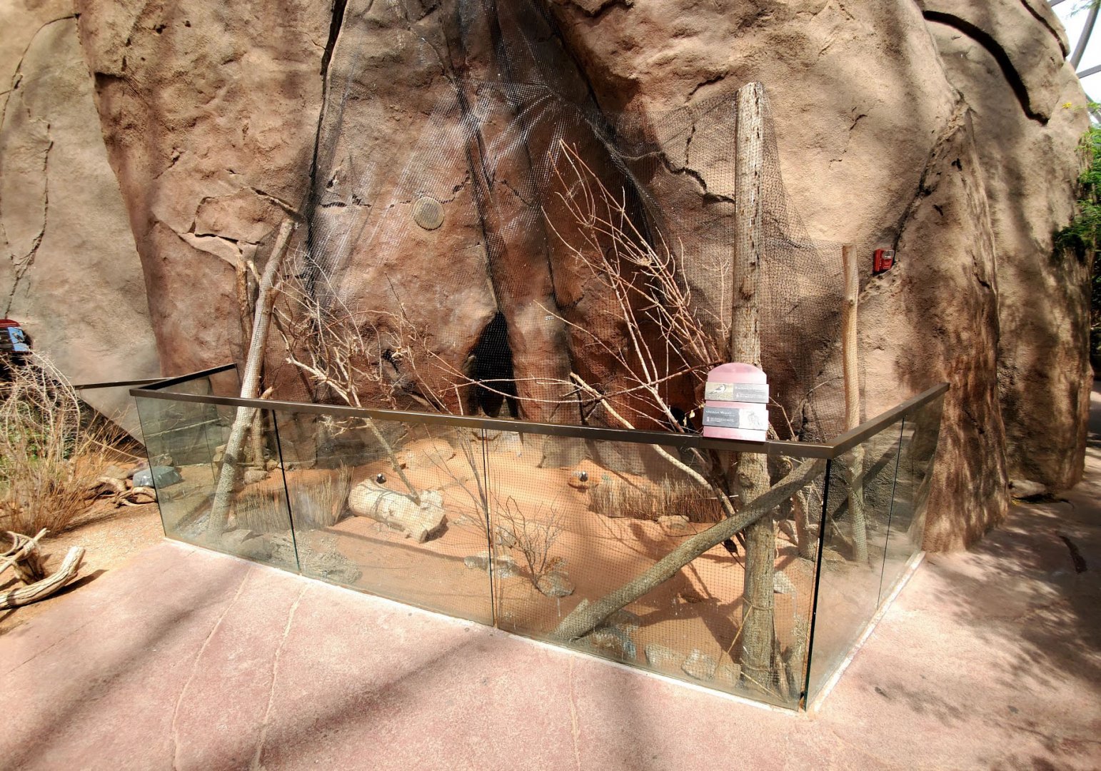 Aug. 2020 - Desert Dome - Namib Desert - Blacksmith Plover/Chestnut Weaver Exhibit