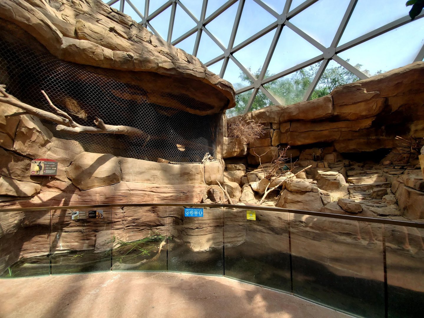 Aug. 2020 - Desert Dome - Namib Desert - Klipspringer/Meerkat + Bat-eared Fox Exhibits