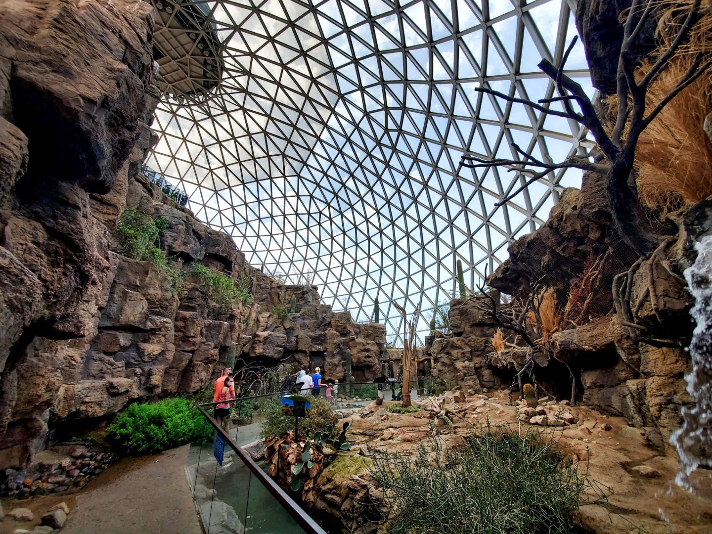 Aug. 2020 - Desert Dome - Sonoran Desert - Peccary + Ocelot Exhibits