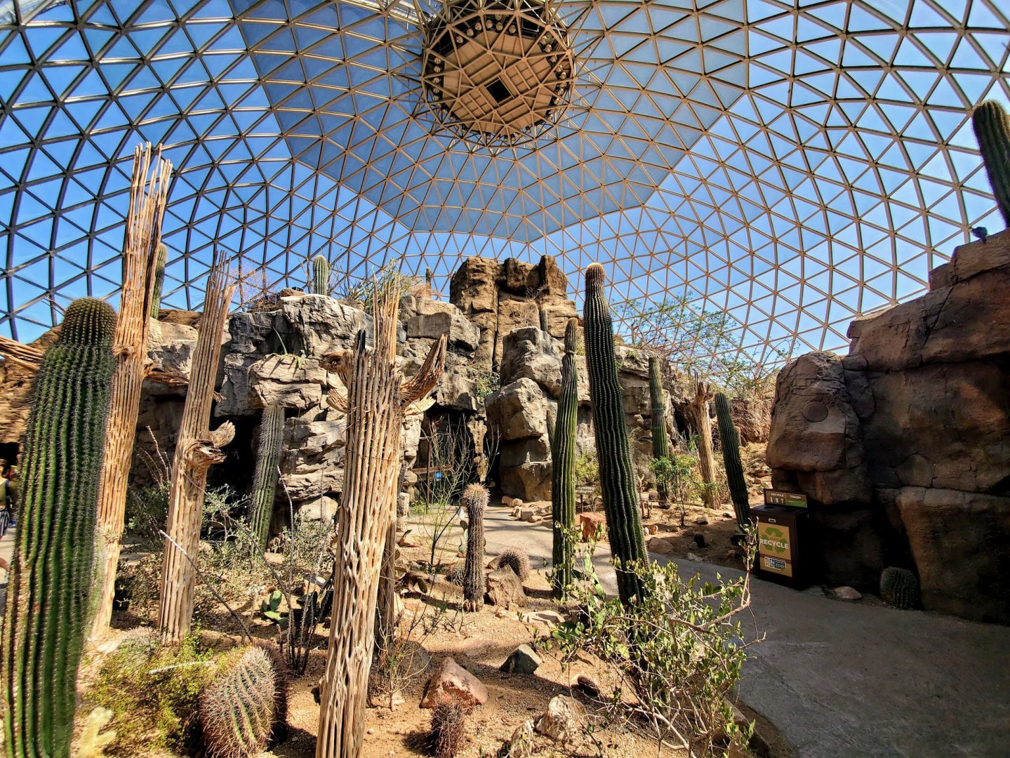 Aug. 2020 - Desert Dome - Sonoran Desert