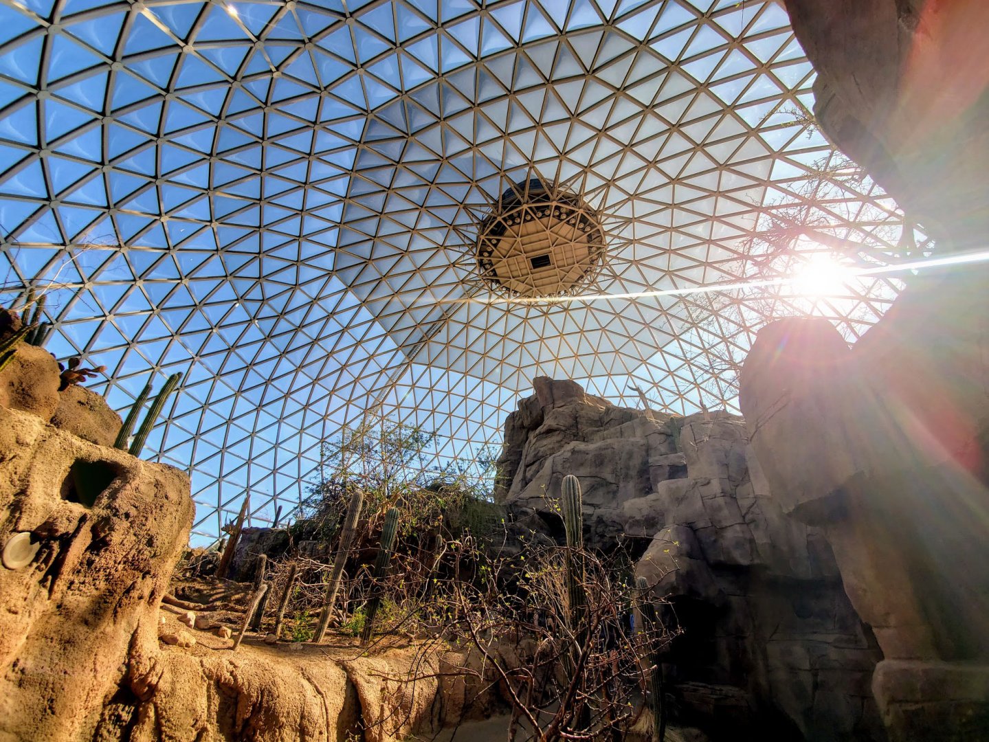 Aug. 2020 - Desert Dome - Sonoran Desert