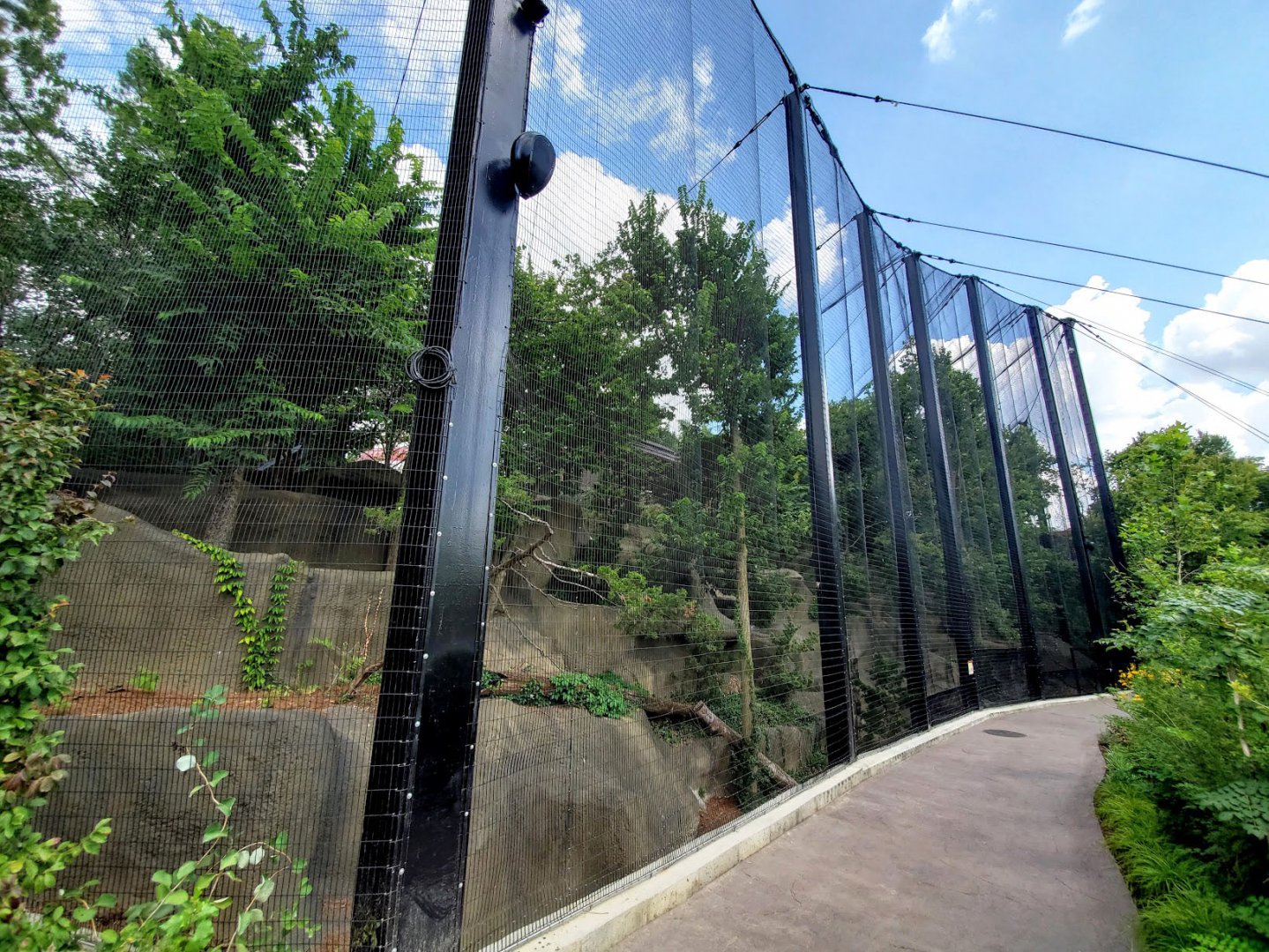 Aug. 2020 - Eagle Eyrie - Steller's Sea Eagle/Andean Condor Aviaries