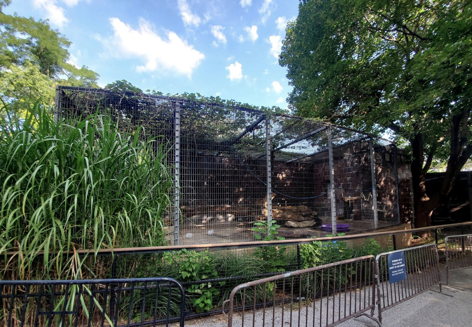 Aug. 2020 - Former Cat Complex - Agile Gibbon Exhibit