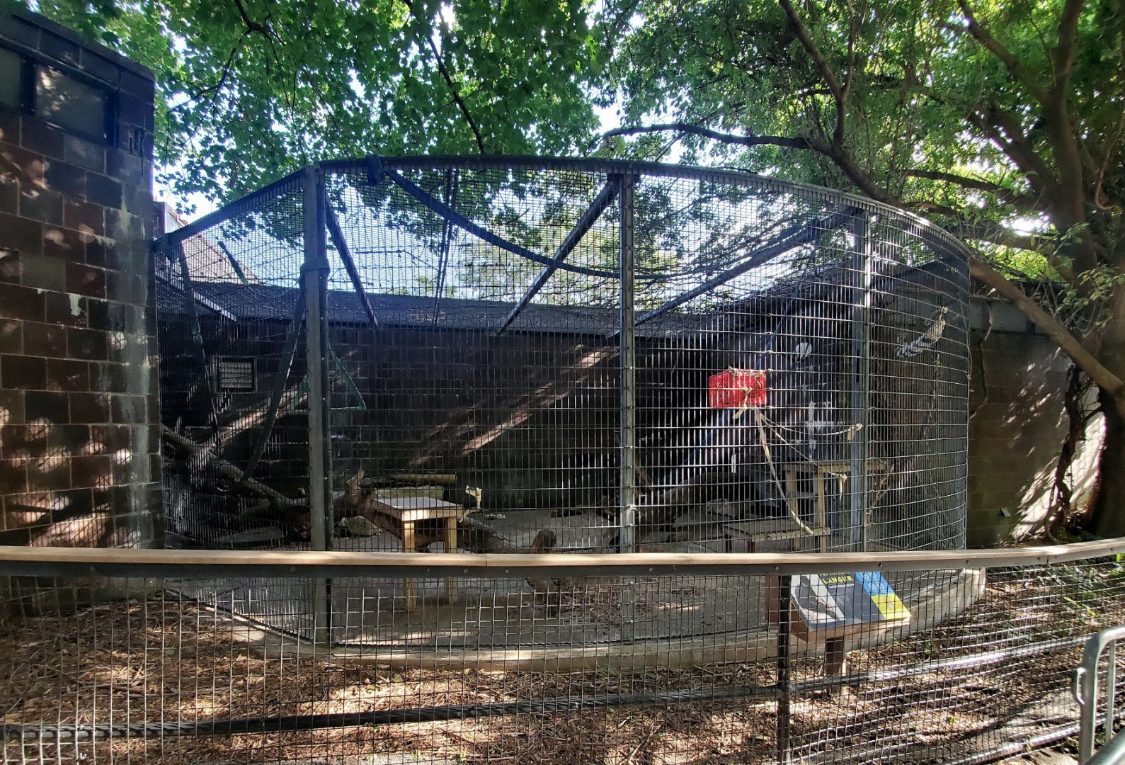 Aug. 2020 - Former Cat Complex - Francois' Langur Exhibit