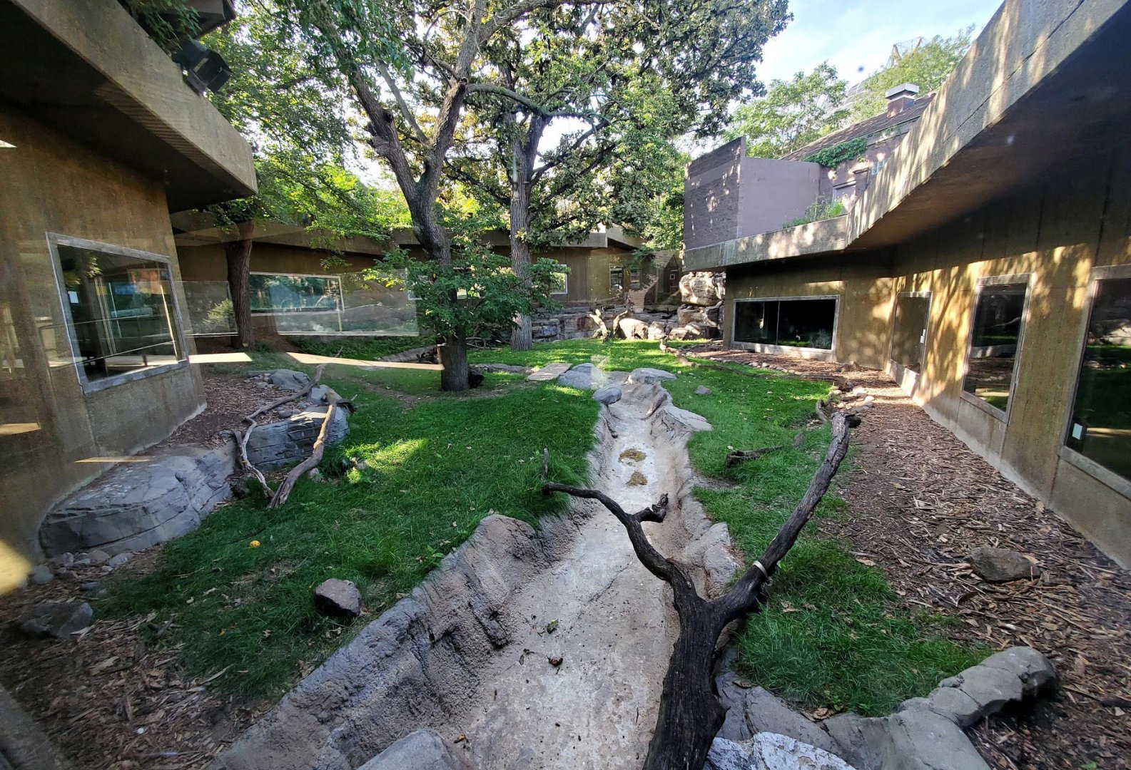 Aug. 2020 - Hubbard Gorilla Valley - Yellow-backed Duiker/Northern Ground Hornbill/Black-crowned Crane/Egyptian Goose Exhibit