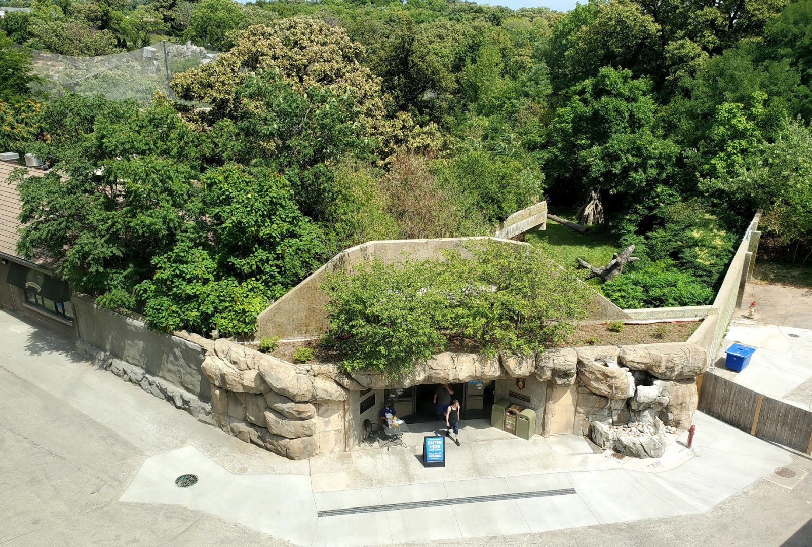 Aug. 2020 - Hubbard Gorilla Valley