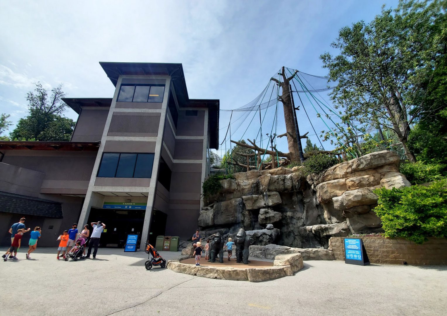 Aug. 2020 - Hubbard Orangutan Forest (From Below)