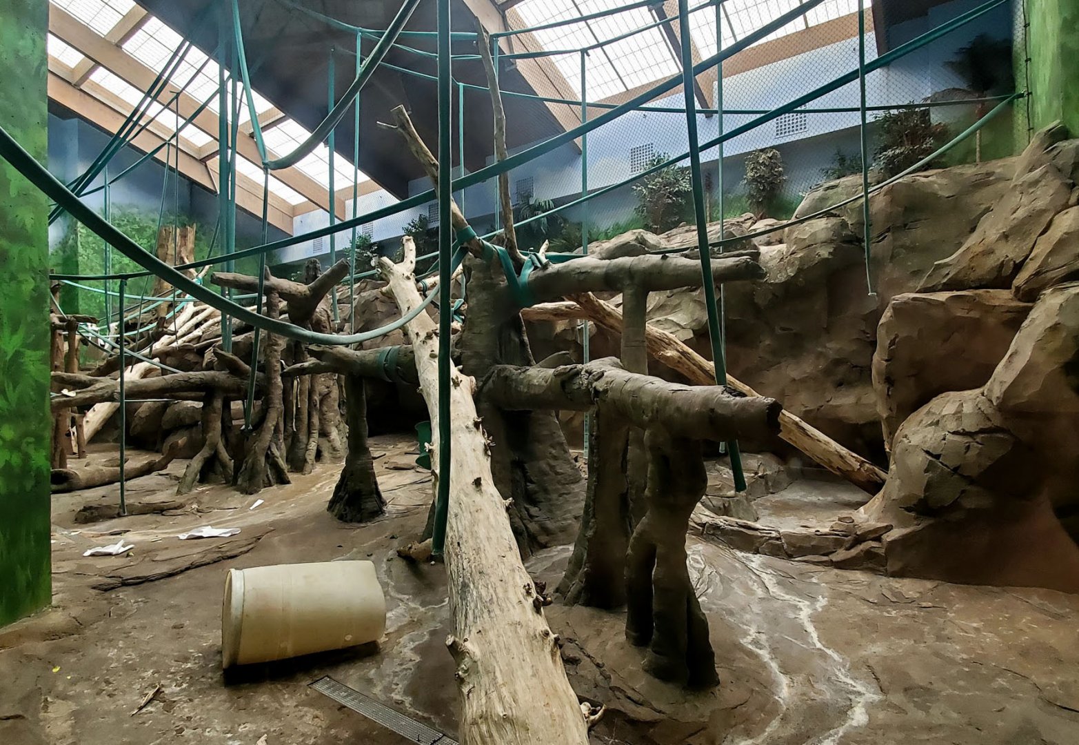 Aug. 2020 - Hubbard Orangutan Forest - Indoor Orangutan/Siamang Exhibit