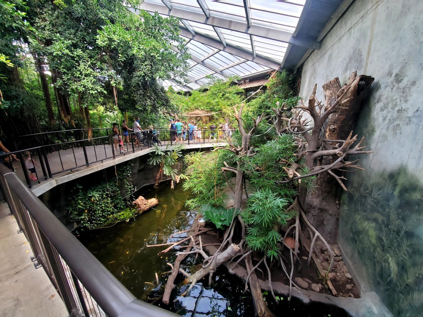 Aug. 2020 - Lied Jungle - Asian Small-clawed Otter/White-handed Gibbon Exhibit
