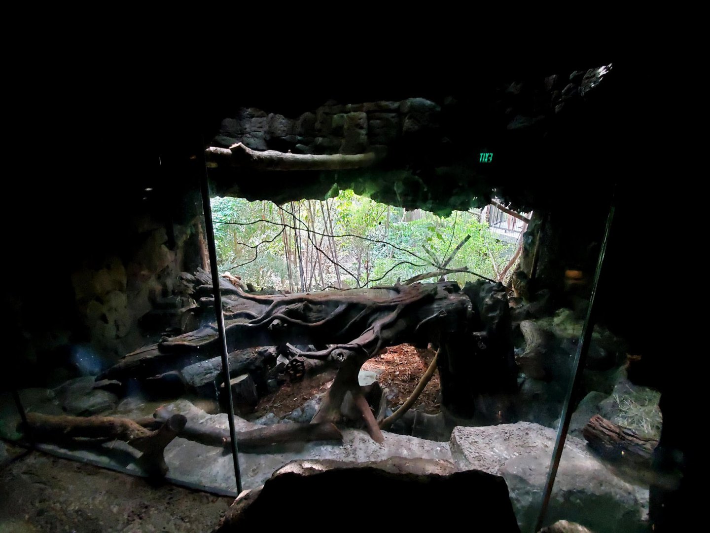 Aug. 2020 - Lied Jungle - Eurasian Eagle Owl Exhibit