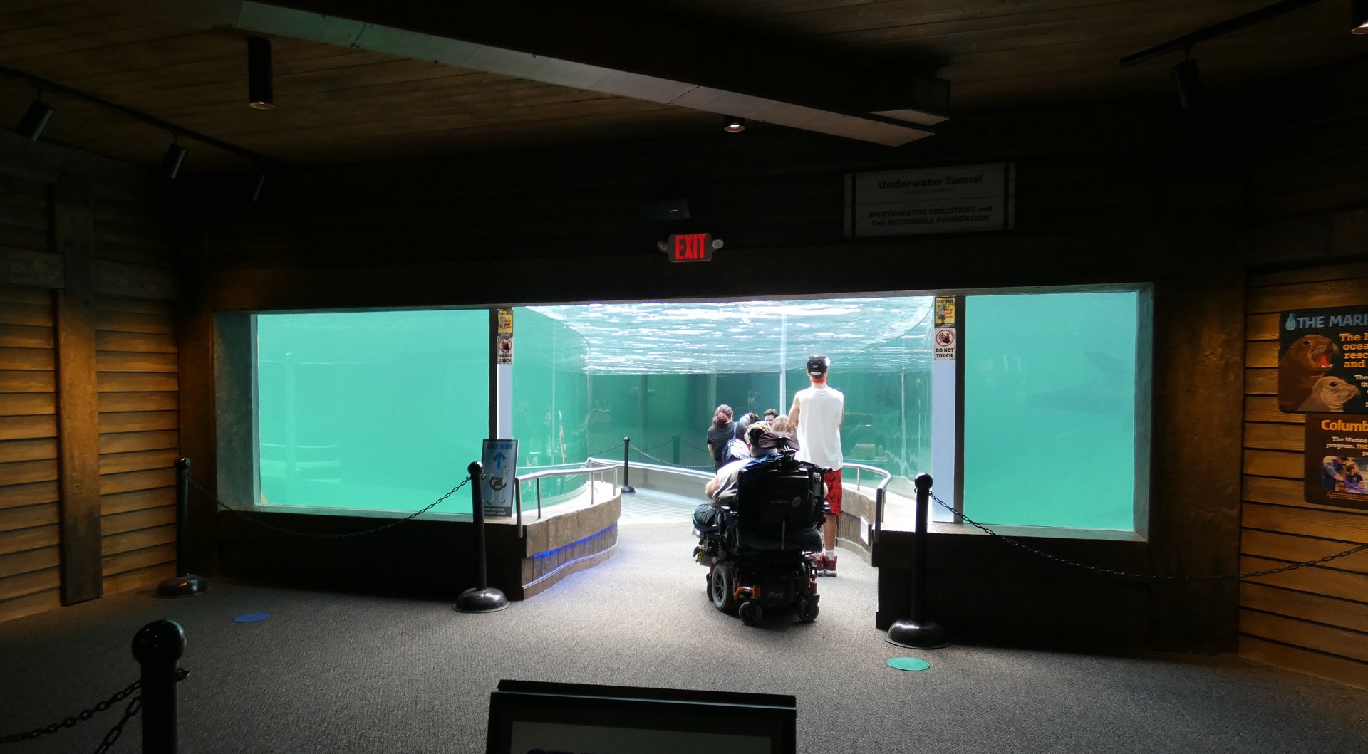 Aug. 2020 - New! Adventure Cove - Left Sea Lion Exhibit Tunnel Entrance