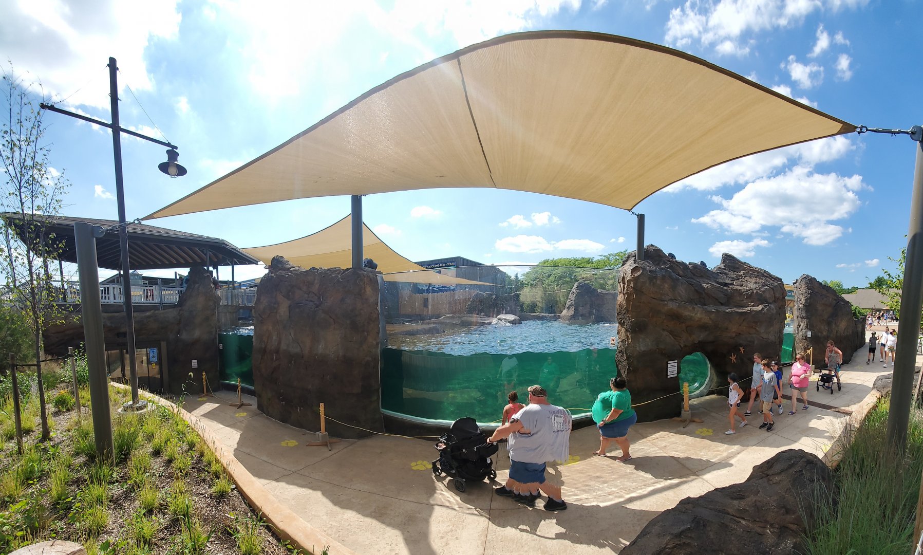 Aug. 2020 - New! Adventure Cove - Right Sea Lion/Harbor Seal Exhibit Panorama