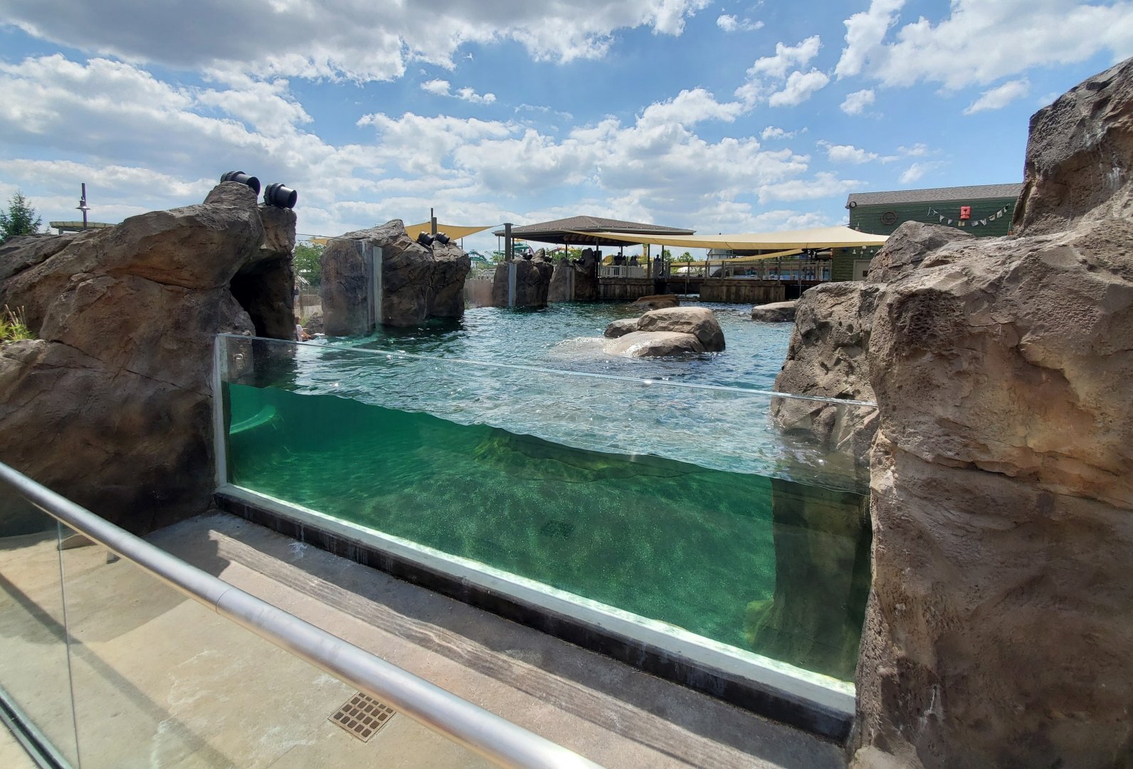 Aug. 2020 - New! Adventure Cove - Right Sea Lion/Harbor Seal Exhibit