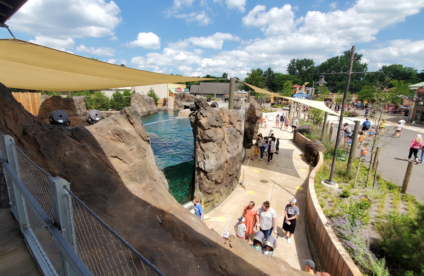 Aug. 2020 - New! Adventure Cove - Right Sea Lion/Harbor Seal Exhibit