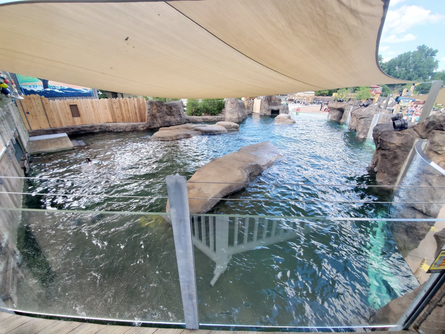 Aug. 2020 - New! Adventure Cove - Right Sea Lion/Harbor Seal Exhibit