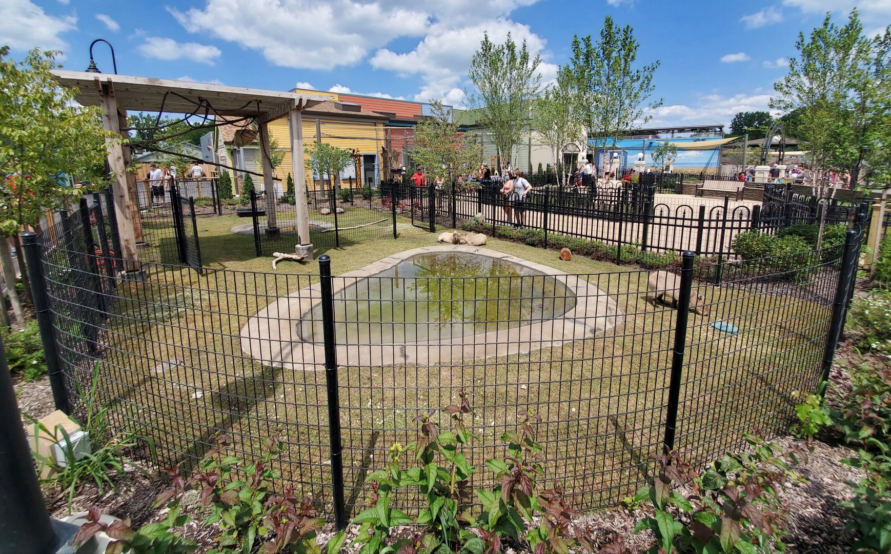 Aug. 2020 - New! Animal Encounters Village - Capybara/Linne's Two-toed Sloth Exhibit