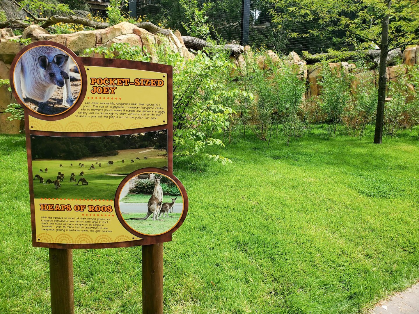 Aug. 2020 - New! Roo Valley - Joey Sign