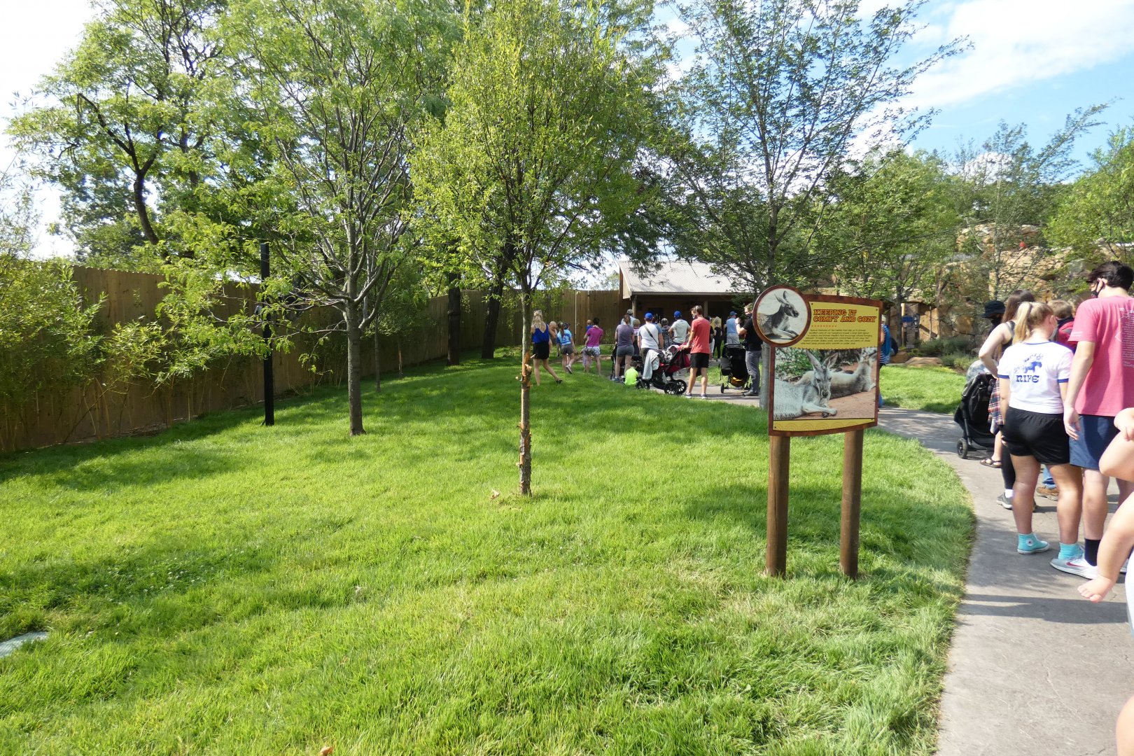 Aug. 2020 - New! Roo Valley - Kangaroo Walk-About (15,000 Sq Ft)