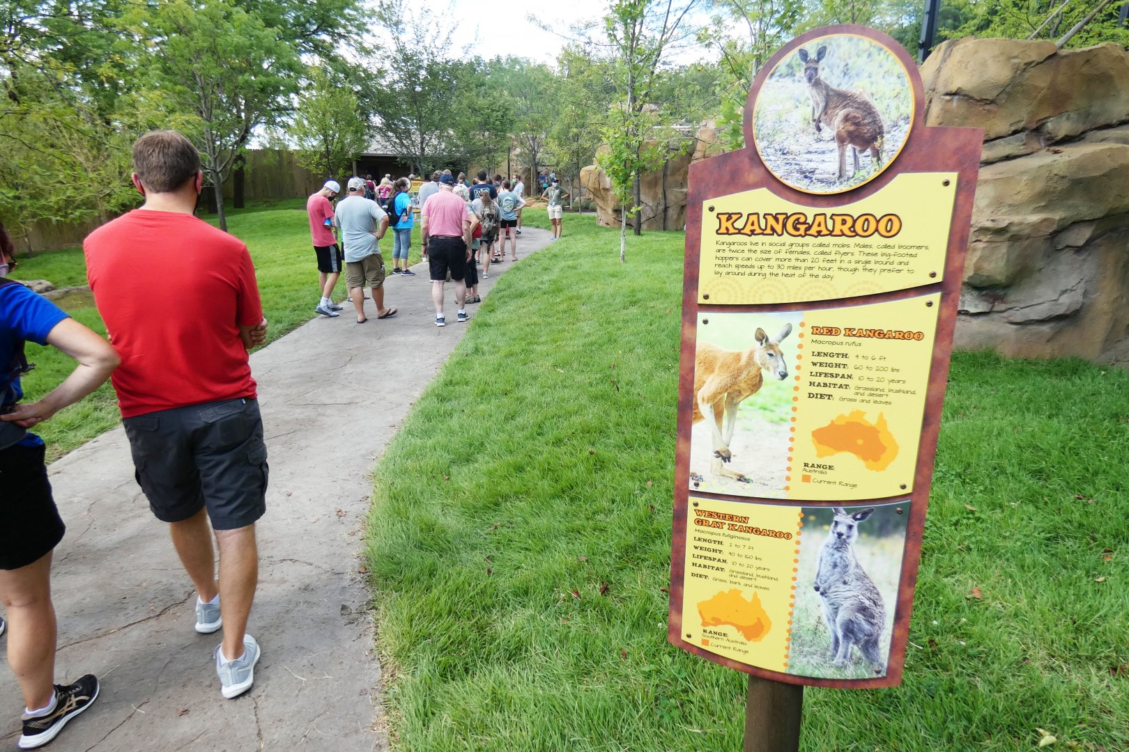 Aug. 2020 - New! Roo Valley - Kangaroo Walk-About (15,000 Sq Ft)