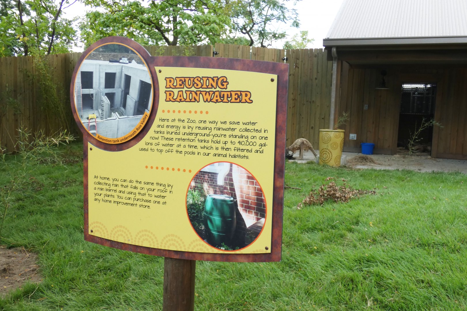 Aug. 2020 - New! Roo Valley - Kangaroo Walk-About - Rain Water Sign