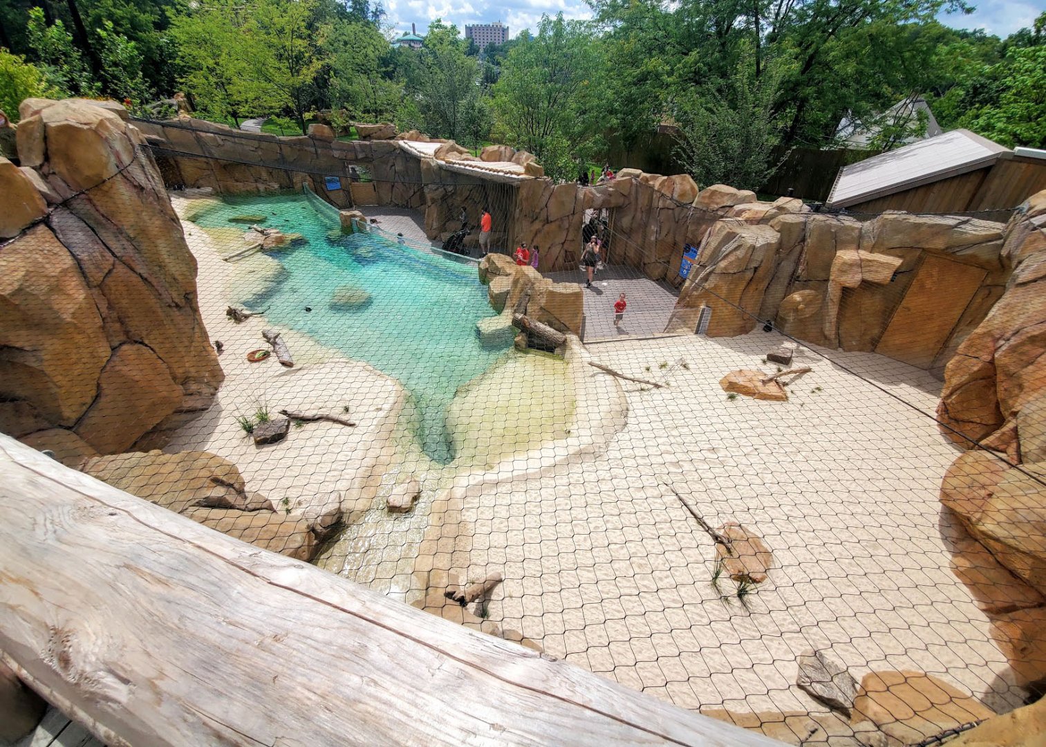 Aug. 2020 - New! Roo Valley - Little Penguin + 3 Others Exhibit