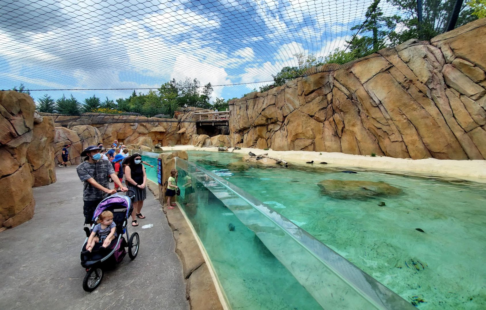 Aug. 2020 - New! Roo Valley - Little Penguin + 3 Others