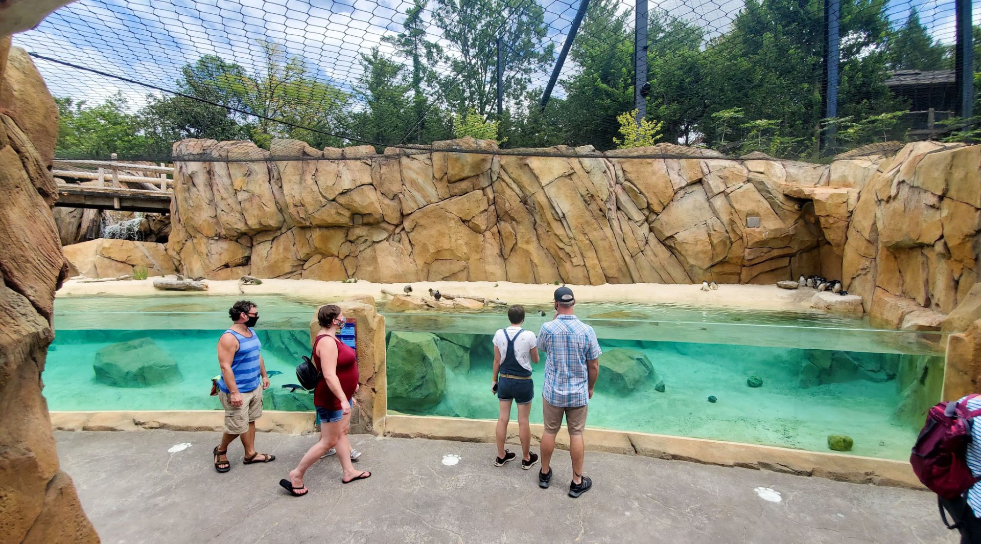 Aug. 2020 - New! Roo Valley - Little Penguin + 3 Others