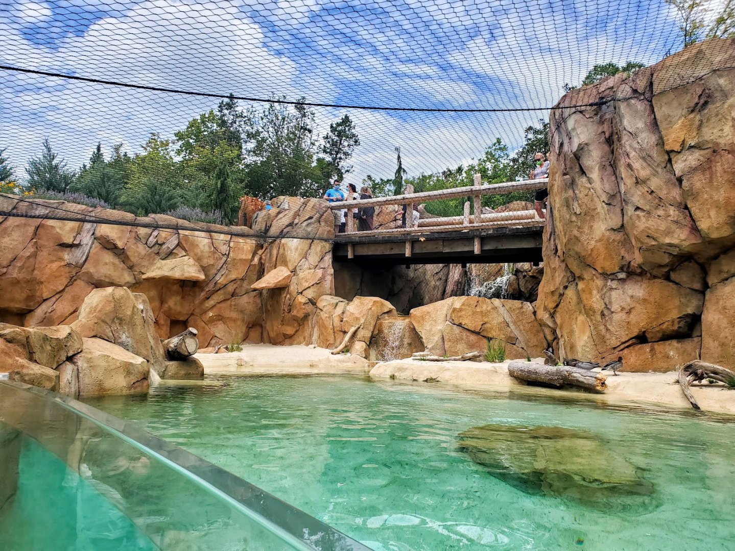 Aug. 2020 - New! Roo Valley - Little Penguin + 3 Others