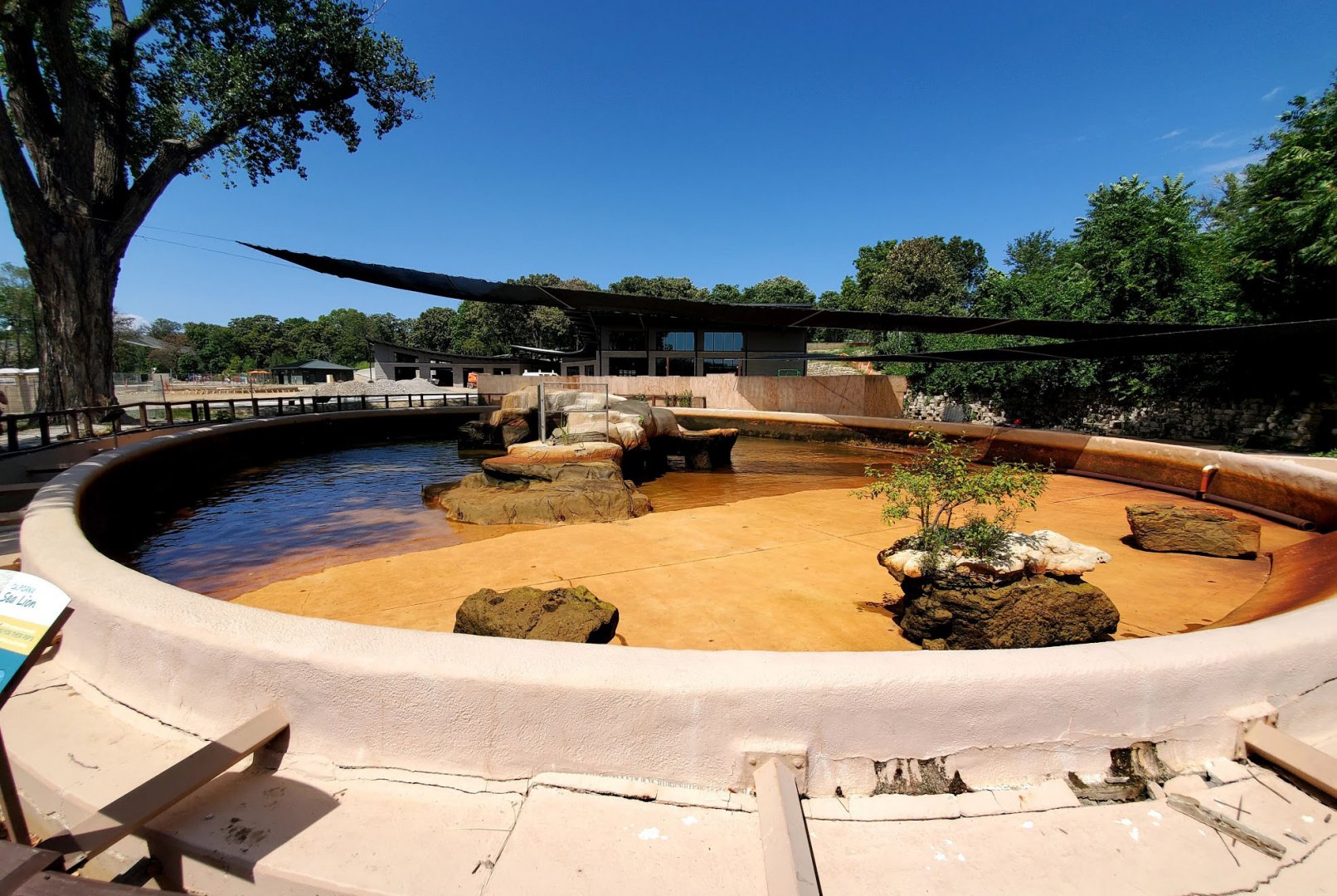 Aug. 2020 - Owen Sea Lion Pool