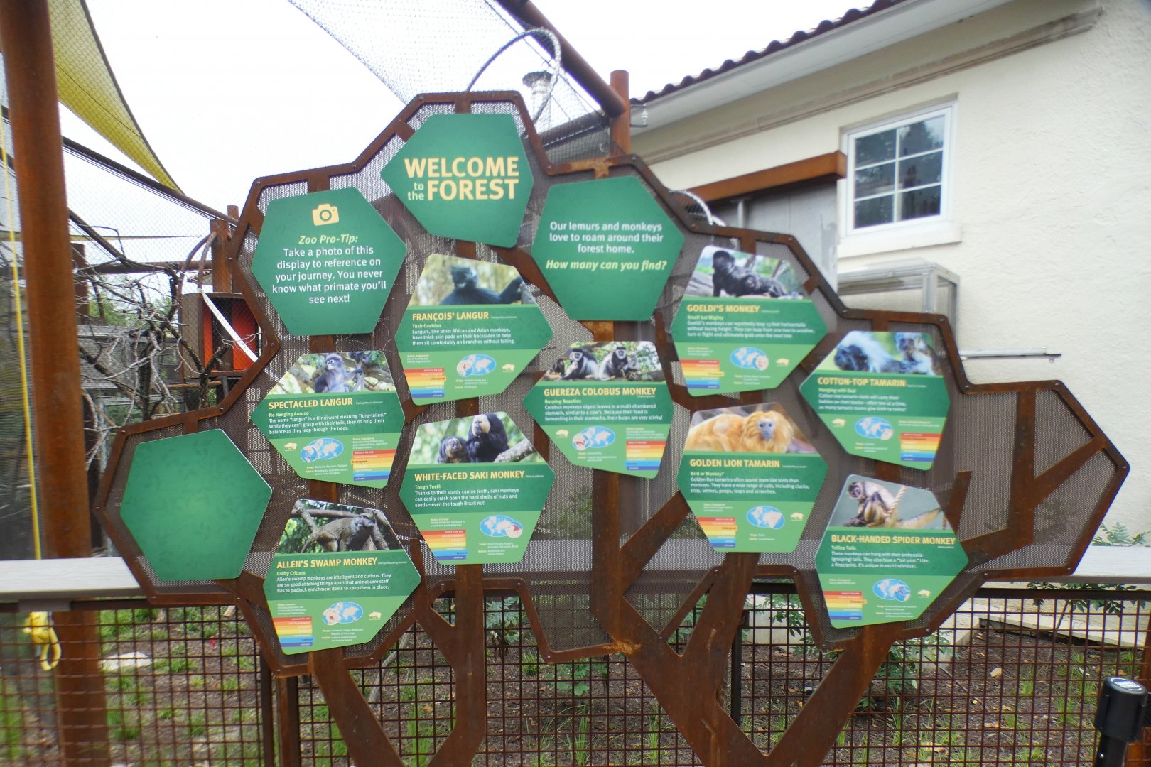 Aug. 2021 - New! Primate Canopy Trails - Animal ID Signage