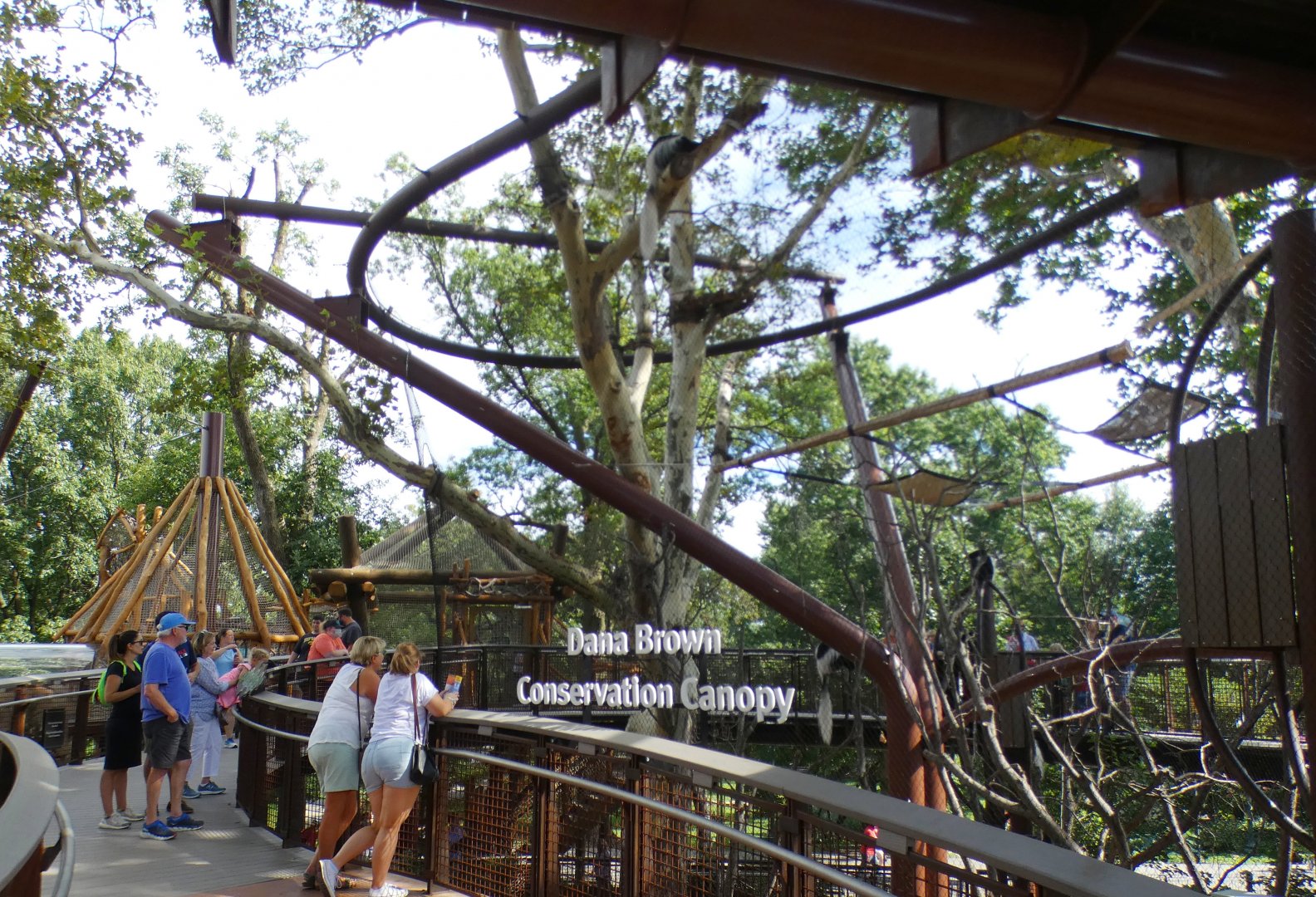 Aug. 2021 - New! Primate Canopy Trails - Conservation Canopy (Colobus)