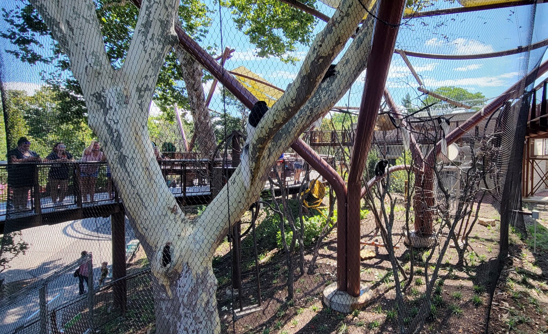 Aug. 2021 - New! Primate Canopy Trails - Conservation Canopy (Colobus)