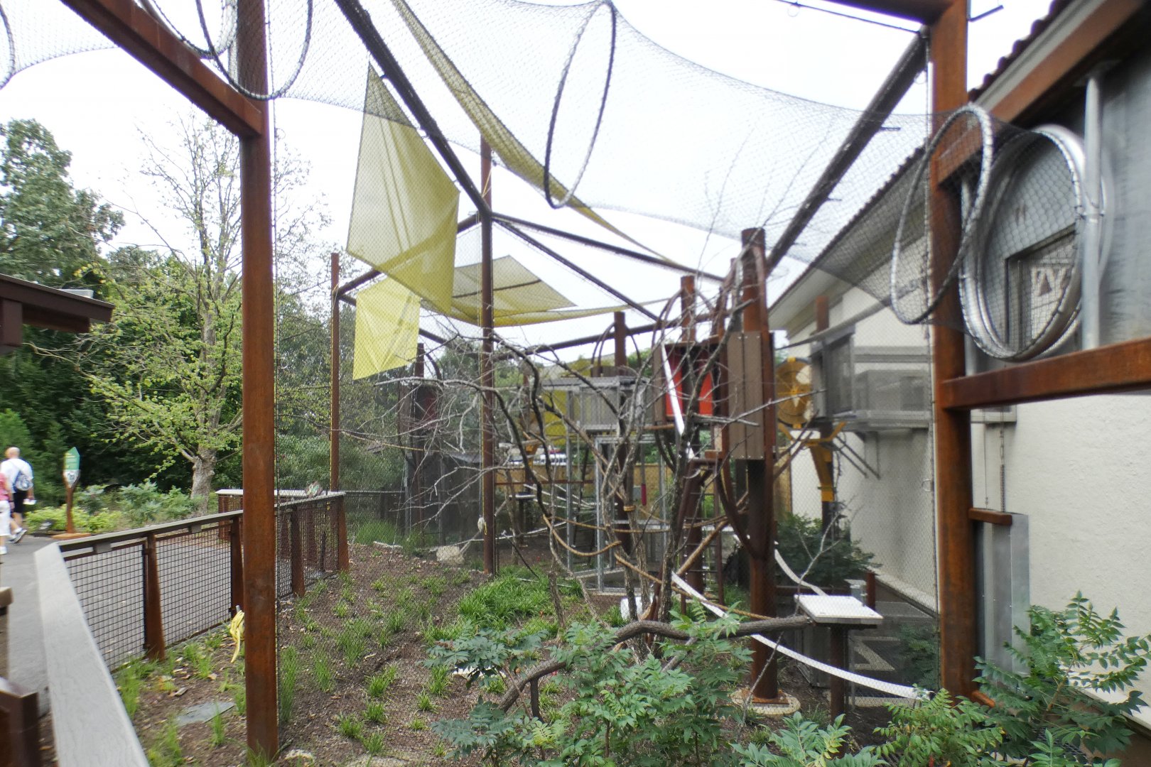 Aug. 2021 - New! Primate Canopy Trails - First Exhibits (Marmosets/Mongoose Lemur)