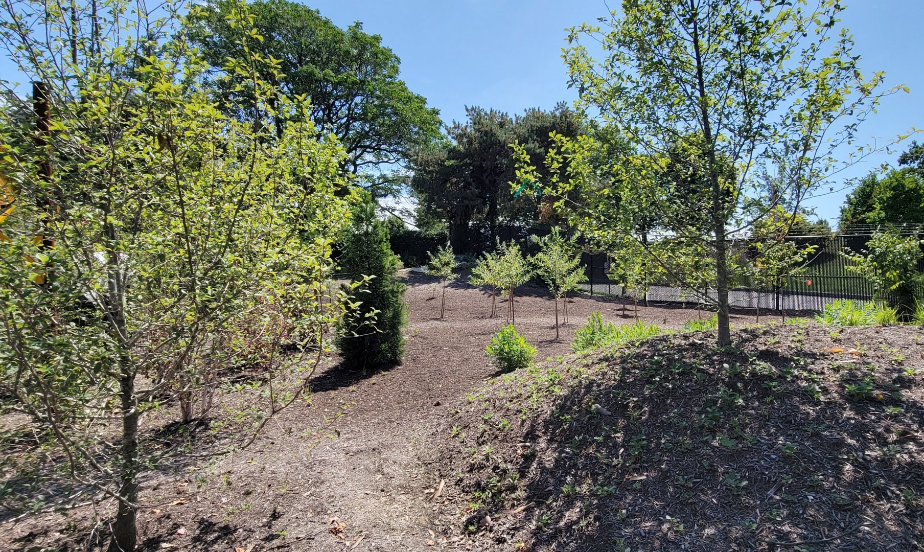 Aug. 2021 - New! Primate Canopy Trails - Food Garden