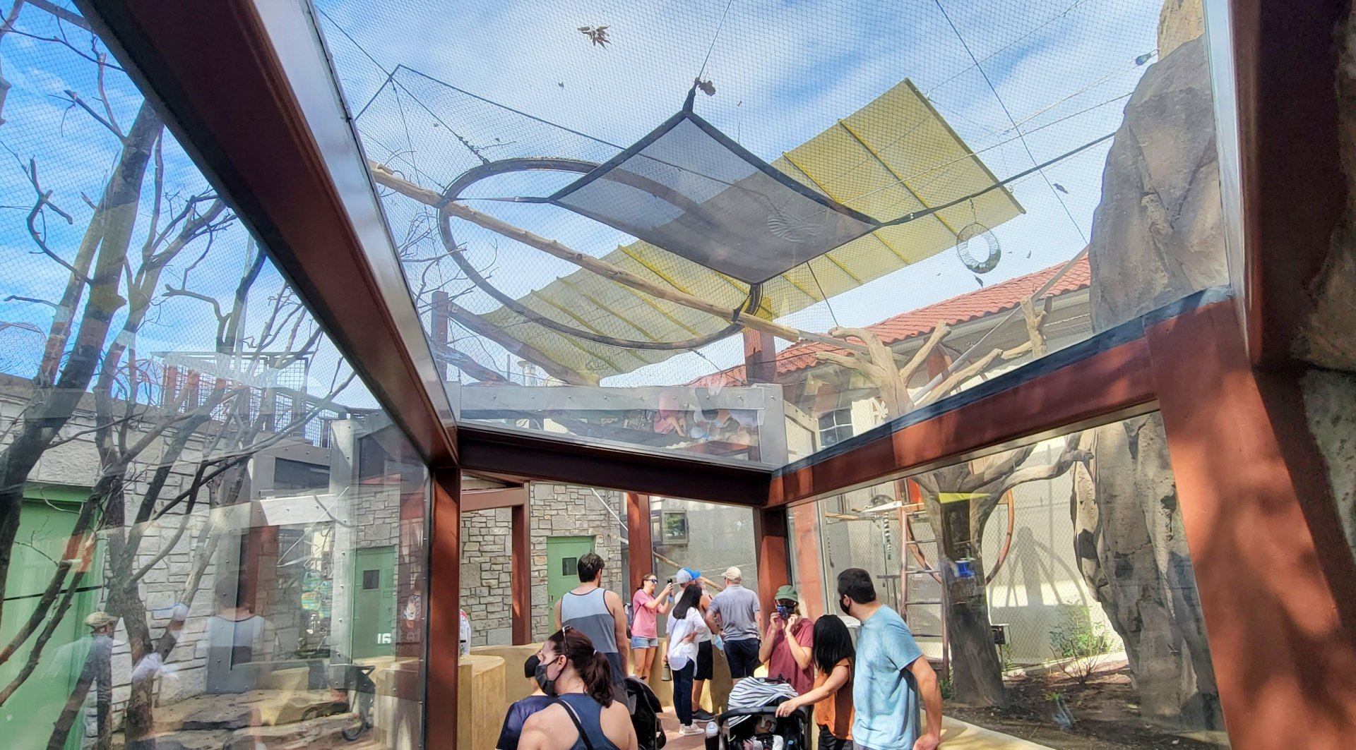 Aug. 2021 - New! Primate Canopy Trails - Primate Panorama Overhead Tunnel (Ring-tailed Lemur)