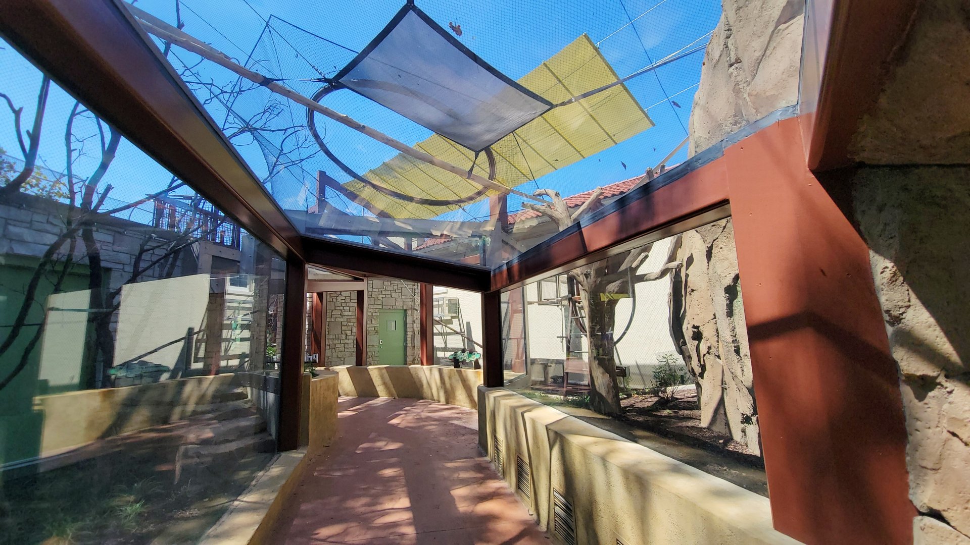 Aug. 2021 - New! Primate Canopy Trails - Primate Panorama Overhead Tunnel (Ring-tailed Lemur)