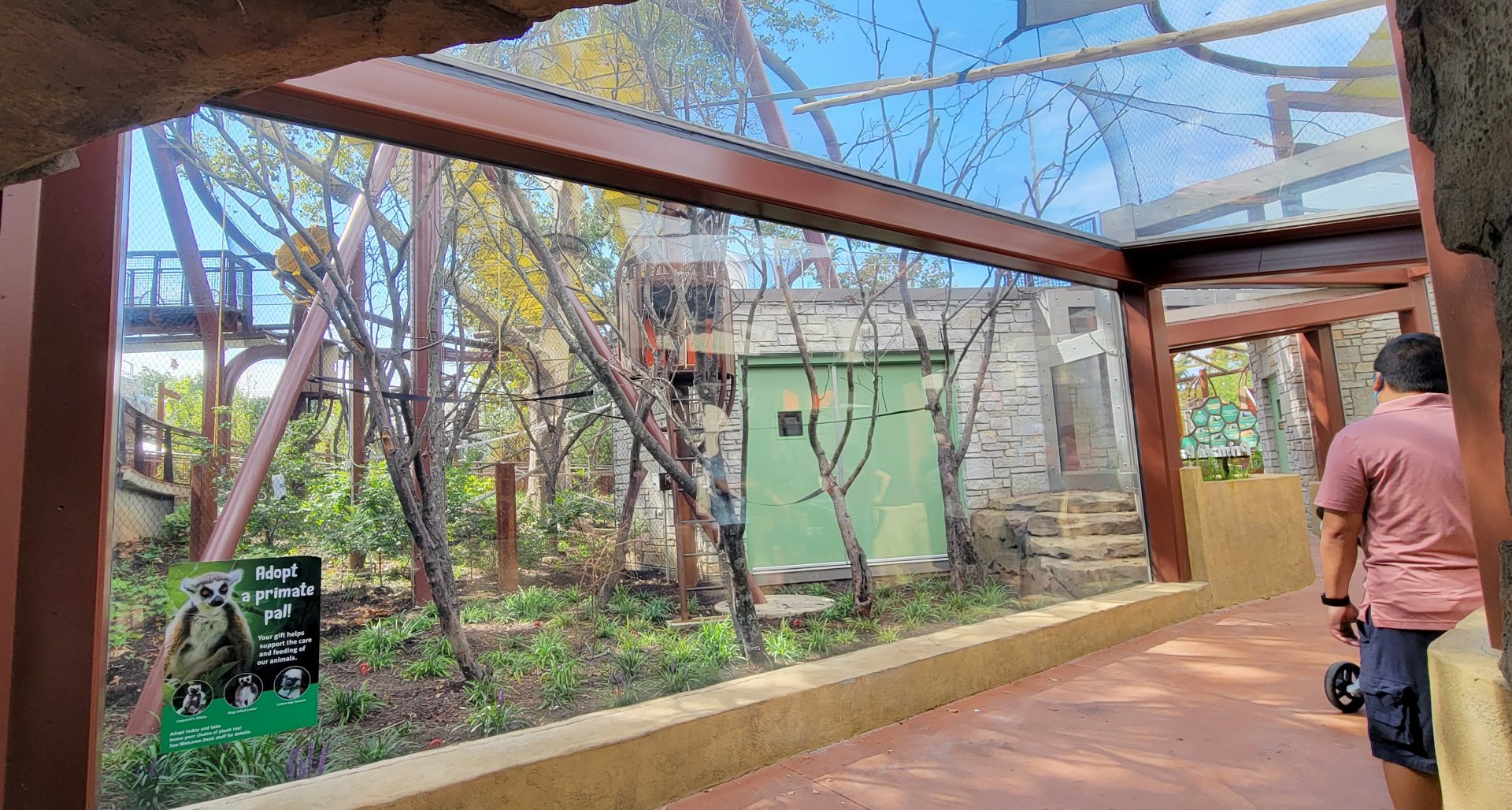 Aug. 2021 - New! Primate Canopy Trails - Primate Panorama Overhead Tunnel (Ring-tailed Lemur)